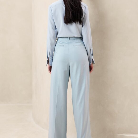 Banana Republic Carmel Pleated Wide Leg Pant - Blue - 2/4 Petite - Picture 3 of 4